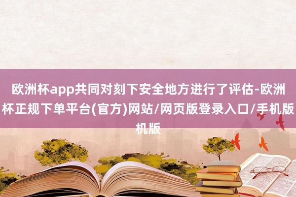 欧洲杯app共同对刻下安全地方进行了评估-欧洲杯正规下单平台(官方)网站/网页版登录入口/手机版