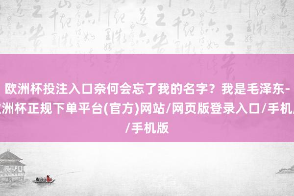 欧洲杯投注入口奈何会忘了我的名字？我是毛泽东-欧洲杯正规下单平台(官方)网站/网页版登录入口/手机版