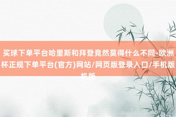 买球下单平台哈里斯和拜登竟然莫得什么不同-欧洲杯正规下单平台(官方)网站/网页版登录入口/手机版