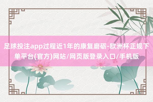 足球投注app过程近1年的康复磨砺-欧洲杯正规下单平台(官方)网站/网页版登录入口/手机版