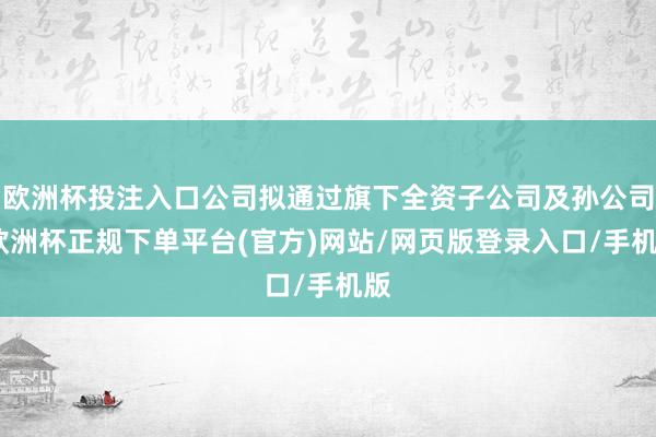 欧洲杯投注入口公司拟通过旗下全资子公司及孙公司-欧洲杯正规下单平台(官方)网站/网页版登录入口/手机版