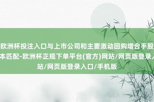 欧洲杯投注入口与上市公司和主要激动回购增合手股票的期限基本匹配-欧洲杯正规下单平台(官方)网站/网页版登录入口/手机版