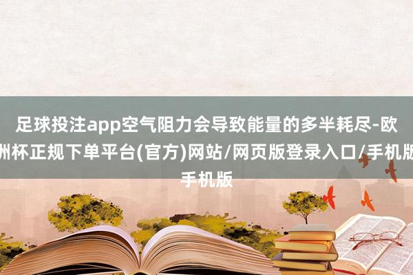 足球投注app空气阻力会导致能量的多半耗尽-欧洲杯正规下单平