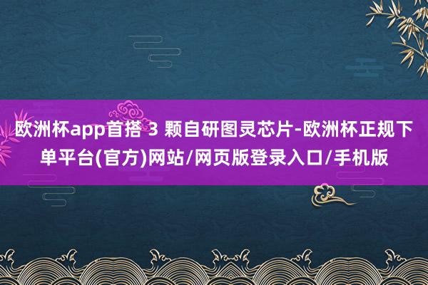 欧洲杯app首搭 3 颗自研图灵芯片-欧洲杯正规下单平台(官
