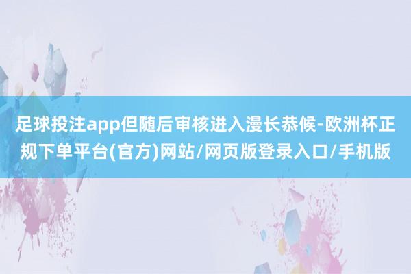 足球投注app但随后审核进入漫长恭候-欧洲杯正规下单平台(官方)网站/网页版登录入口/手机版