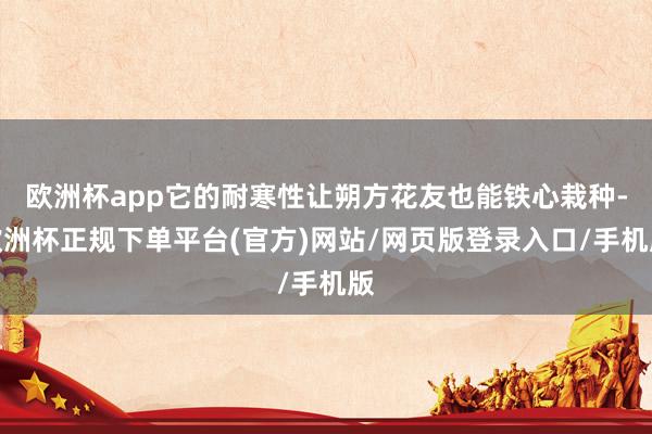 欧洲杯app它的耐寒性让朔方花友也能铁心栽种-欧洲杯正规下单平台(官方)网站/网页版登录入口/手机版